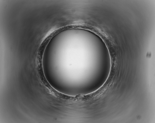 X0000099461400200805091517