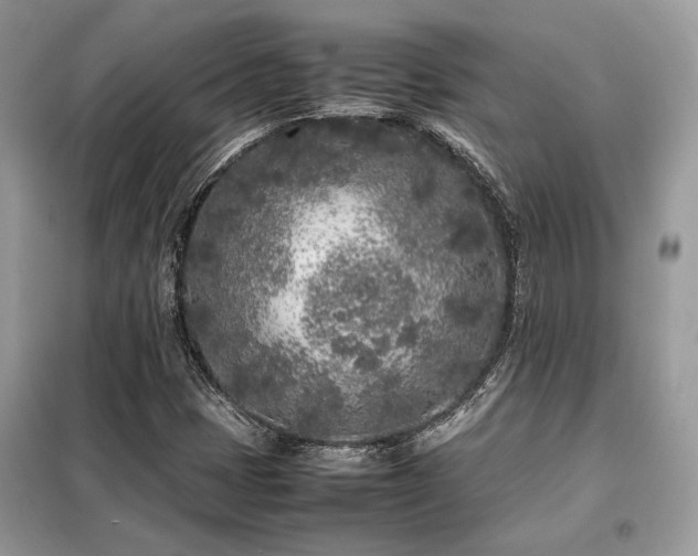 X0000099461401200805091517