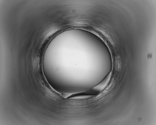 X0000099461402200805091517