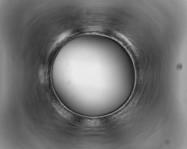 X0000099461403200805091517