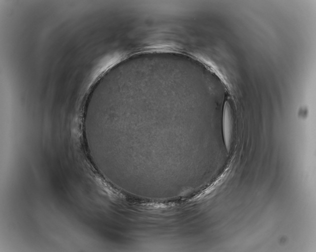 X0000099461405200805091517