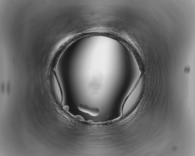 X0000099461406200805091517
