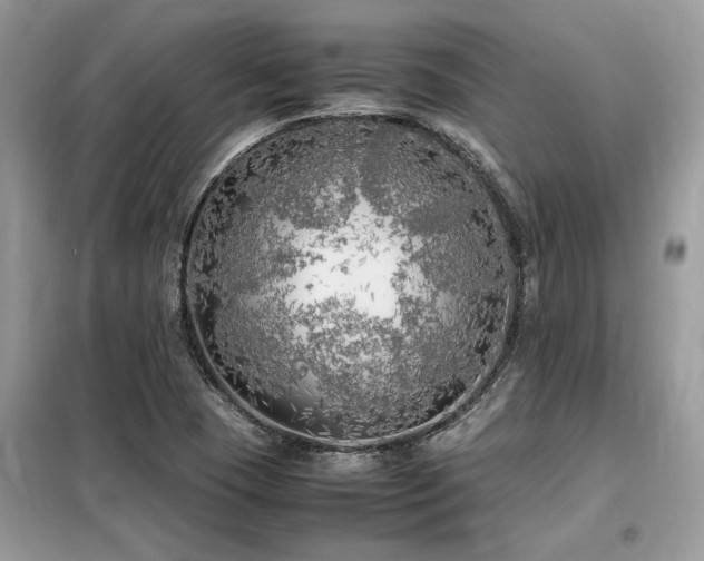 X0000099461409200805091518