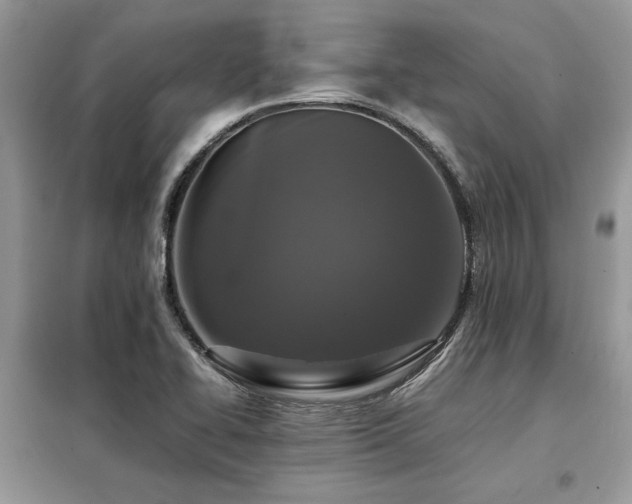 X0000099461414200805091518