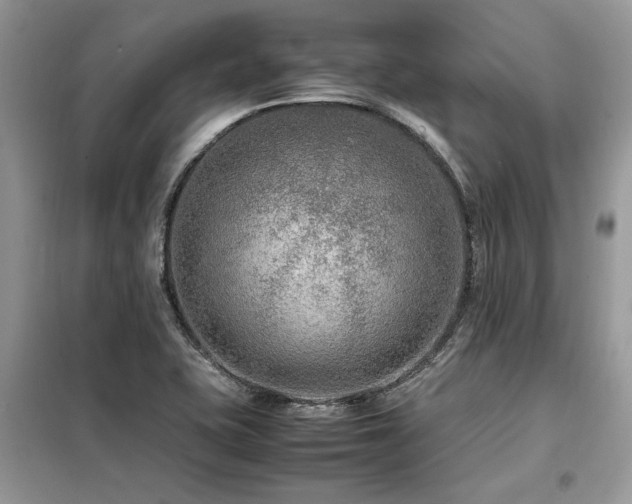 X0000099461415200805091518
