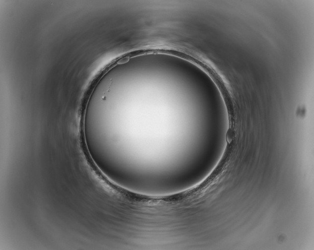 X0000099461416200805091518