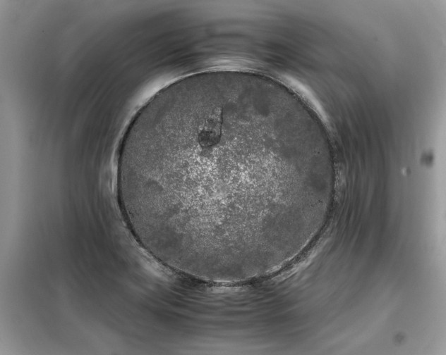 X0000099461419200805091518