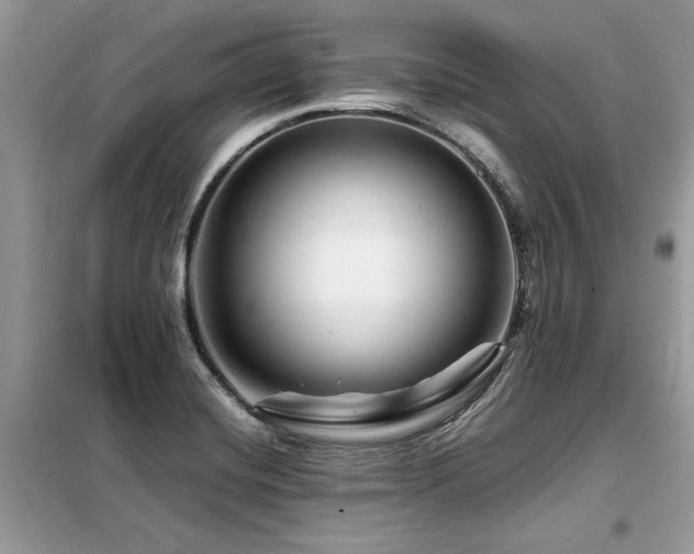 X0000099461420200805091518