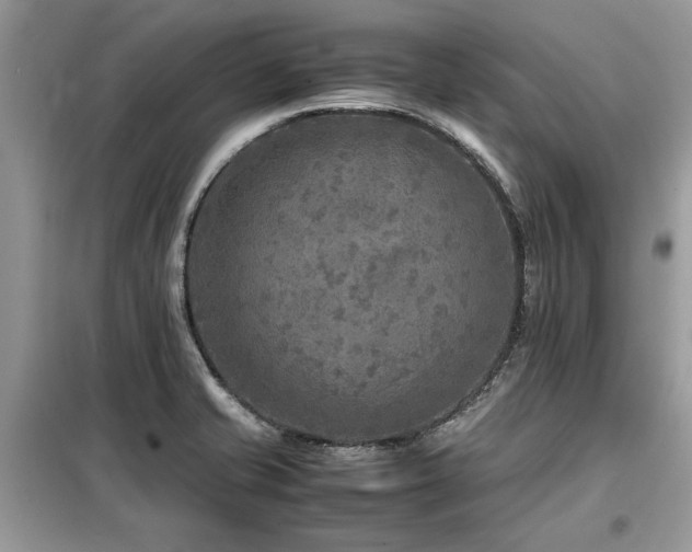X0000099461421200805091518