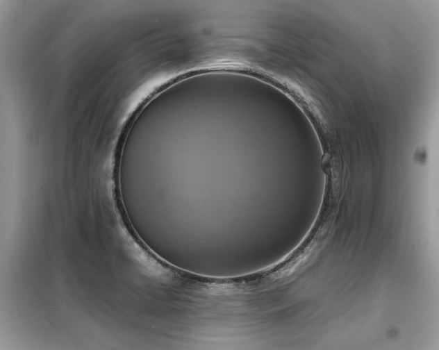 X0000099461422200805091518