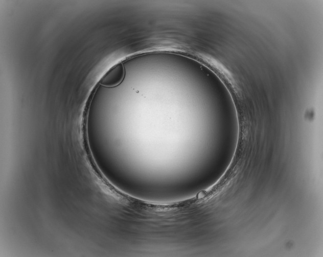 X0000099461423200805091518