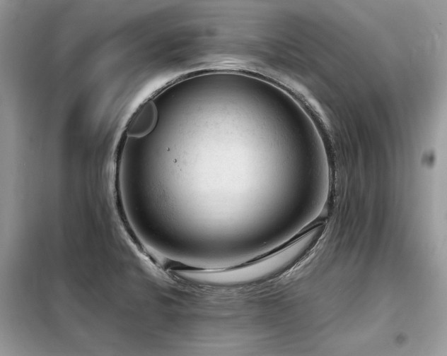 X0000099461424200805091518