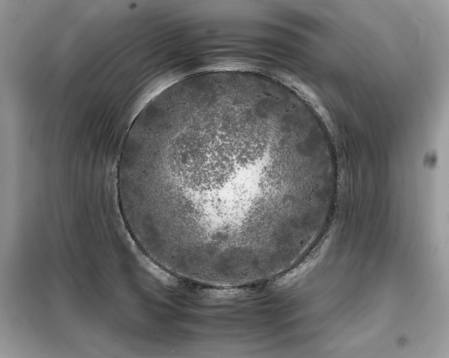 X0000099461425200805091518