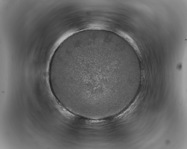 X0000099461427200805091518