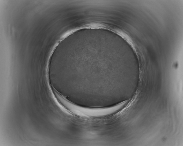 X0000099461429200805091518