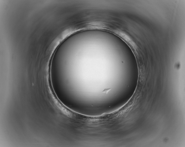 X0000099461431200805091518
