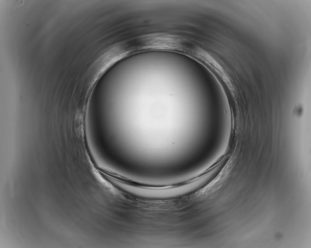 X0000099461433200805091518