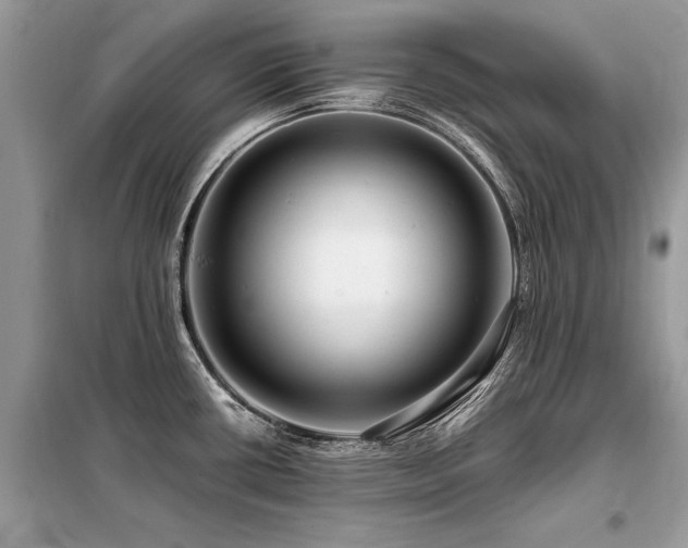 X0000099461434200805091518