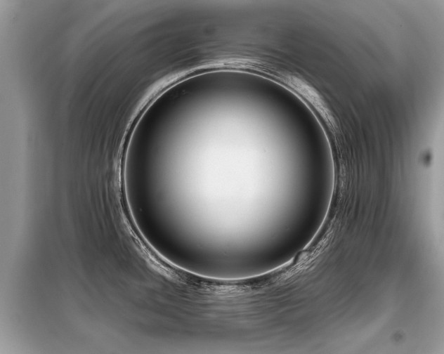 X0000099461436200805091518