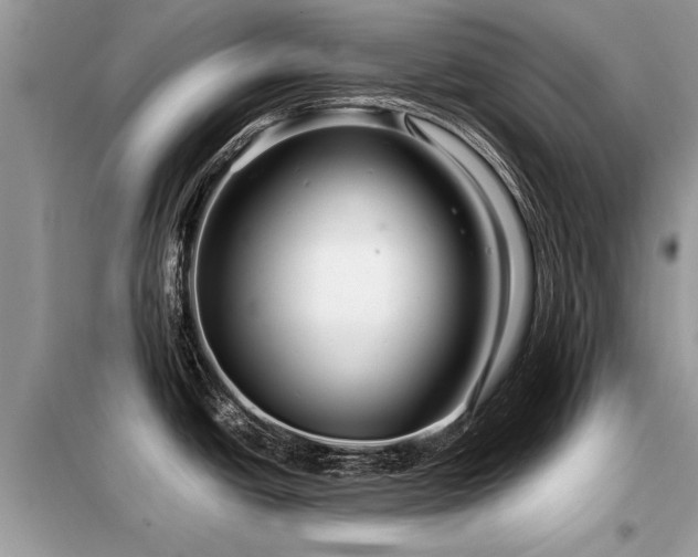 X0000099461438200805091518