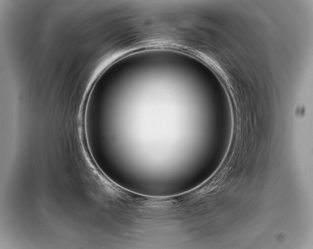 X0000099461440200805091518