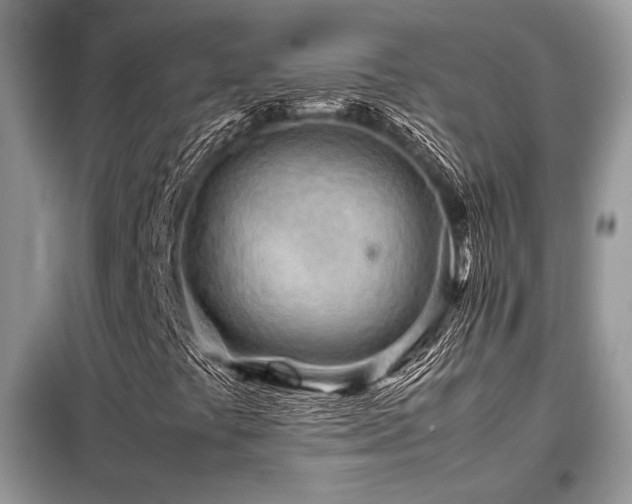 X0000099461441200805091517