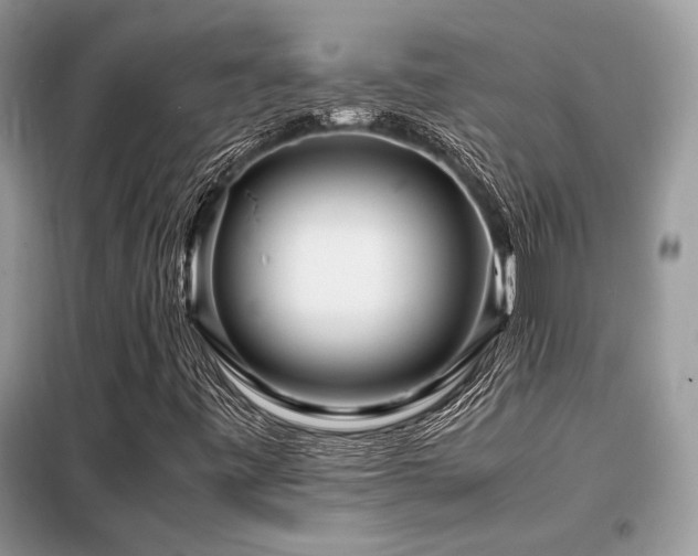 X0000099461443200805091517