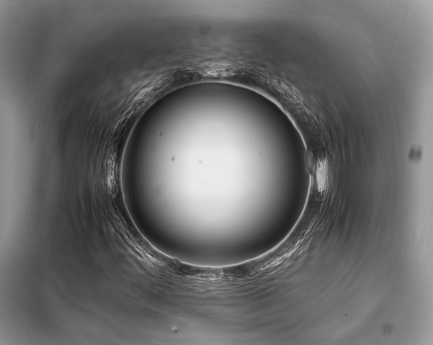 X0000099461444200805091517