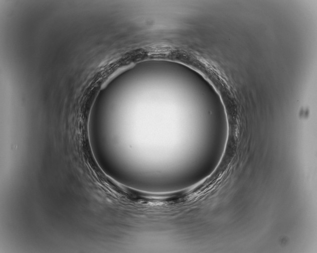 X0000099461445200805091517