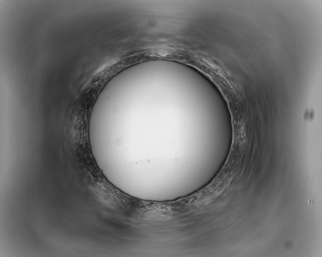 X0000099461446200805091517