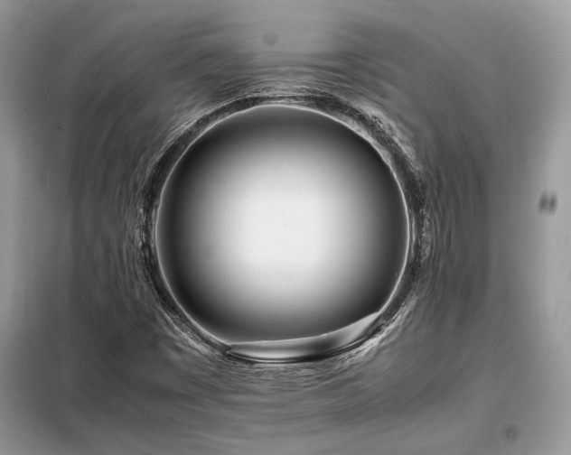 X0000099461449200805091517
