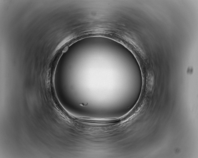 X0000099461450200805091517
