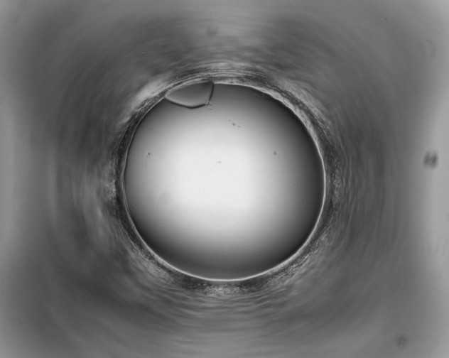 X0000099461451200805091517