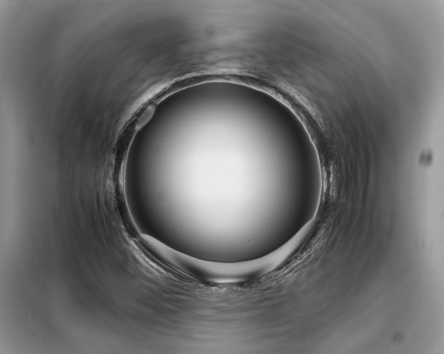 X0000099461452200805091517