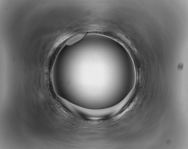 X0000099461453200805091517
