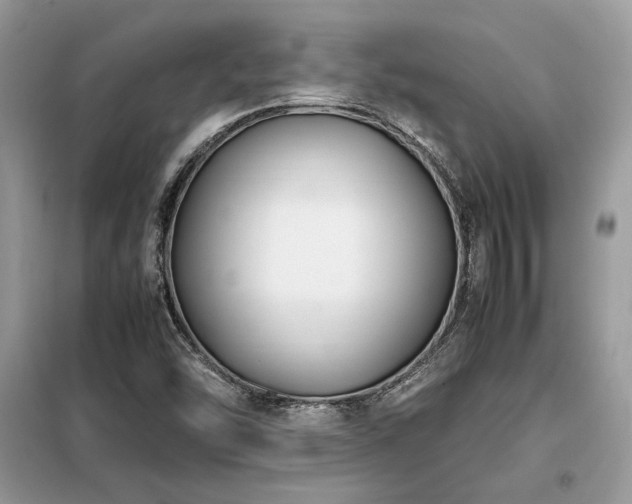 X0000099461454200805091517