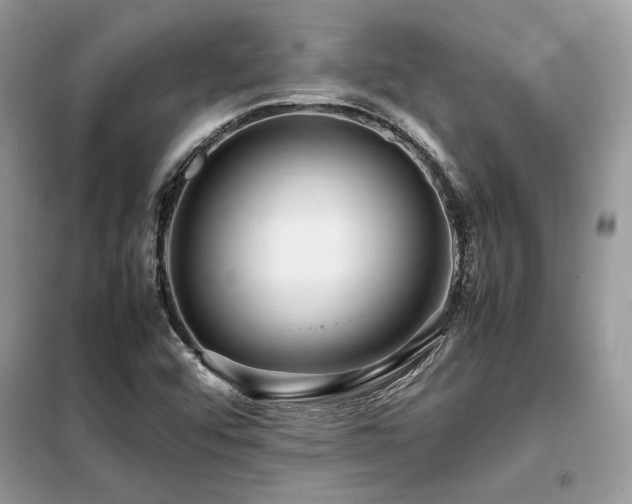 X0000099461456200805091517