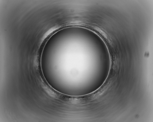 X0000099461458200805091517