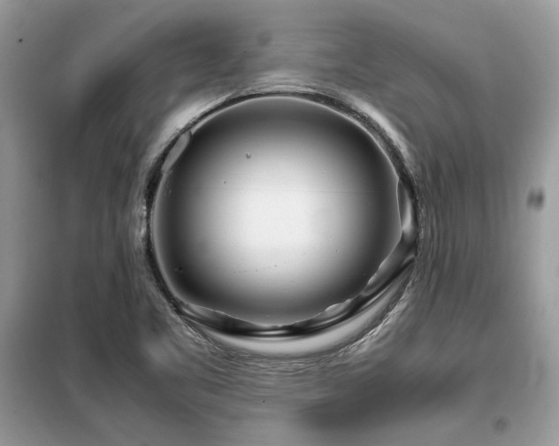 X0000099461461200805091517