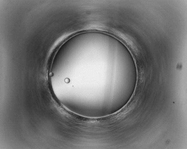 X0000099461462200805091517