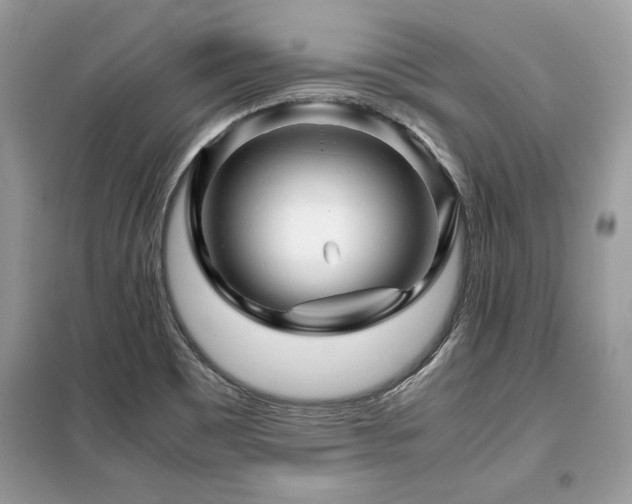 X0000099461465200805091517