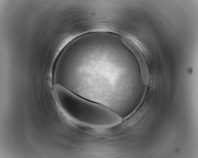 X0000099461468200805091517