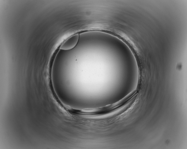 X0000099461469200805091517