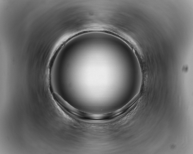 X0000099461472200805091517