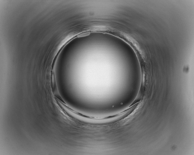 X0000099461473200805091517