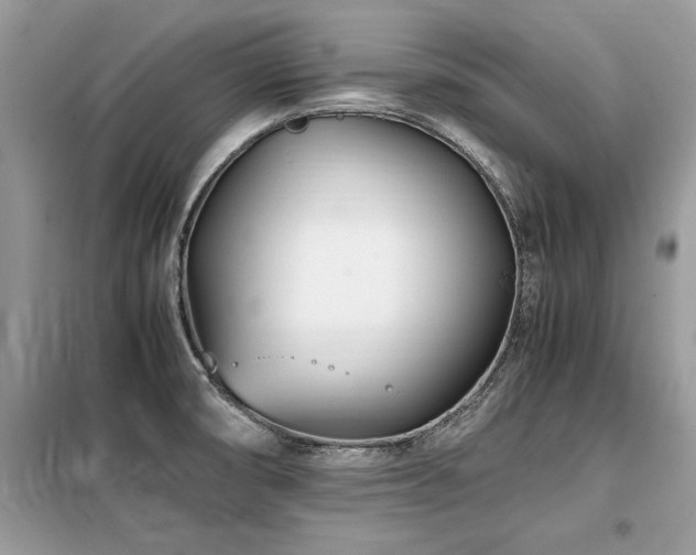 X0000099461474200805091517