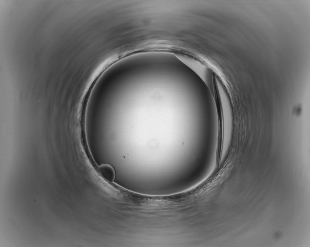 X0000099461475200805091517
