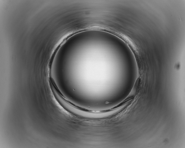X0000099461476200805091517