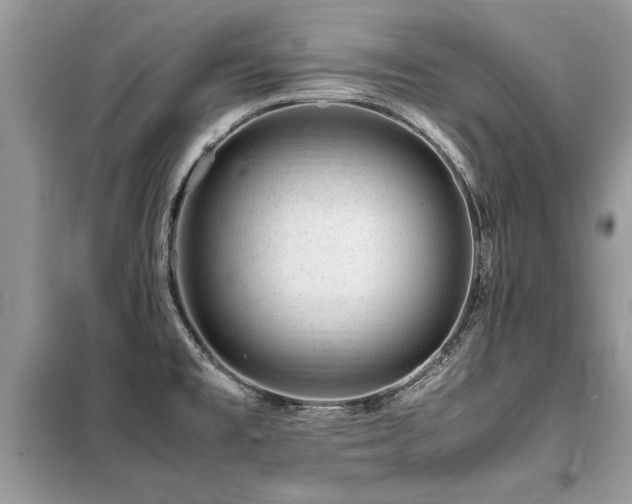X0000099461477200805091517
