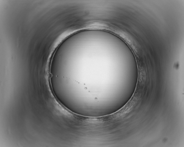 X0000099461478200805091517